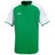 Camiseta Manga Corta Celtic
