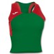 Camiseta Record II
