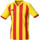 Camiseta Champions