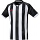 Camiseta Champions