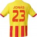 Camiseta Champions