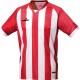 Camiseta Champions