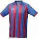 Camiseta Champions