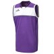 Camiseta de Baloncesto Utah