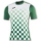 Camiseta Técnica Flag Joma