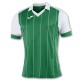 Camiseta Técnica Grada Joma