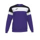 Sudadera Crew IV