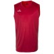 Camiseta Baloncesto Denver