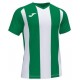 Camiseta Pisa II