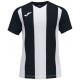 Camiseta Pisa II