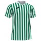 Camiseta Copa II