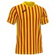 Camiseta Copa II