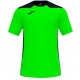Camiseta Champion VI