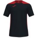 Camiseta Champion VI