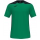 Camiseta Champion VI