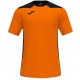 Camiseta Champion VI