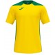 Camiseta Champion VI