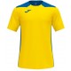 Camiseta Champion VI