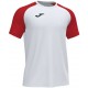 Camiseta Academy IV