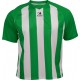 Camiseta Técnica Rayada