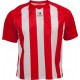 Camiseta Técnica  de Niño Rayada